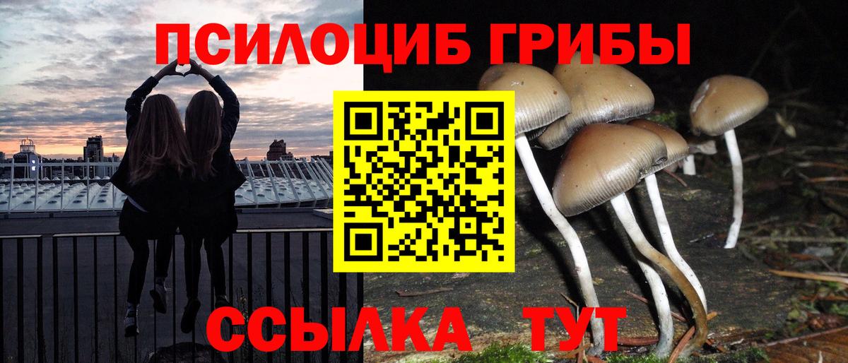 Галлюциногенные грибы прущие грибы  Вход с VPN  Ногинск 